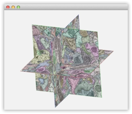 KNOSSOS 3D Visualization Example